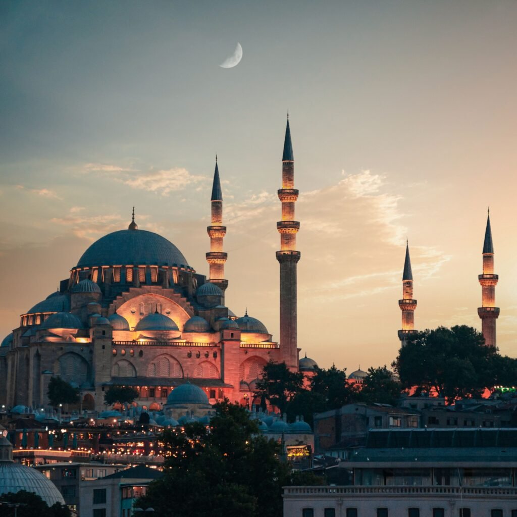 pexels ahmedmulla 8832092 (1)